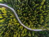 a birds' eye view of a winding road cutting through a forest